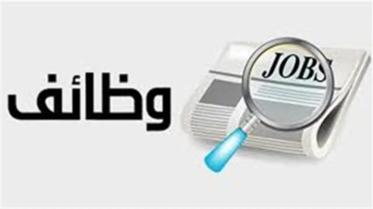 290 وظيفة شاغرة.. فرص عمل جديدة في فنادق خليج نعمة
